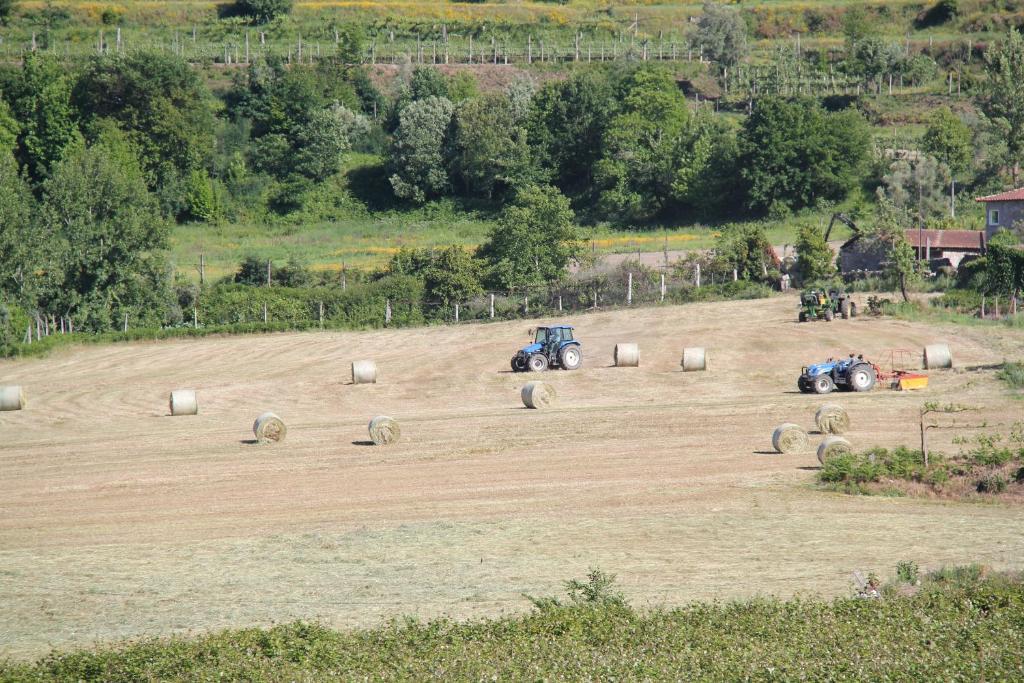 فندق Geraz do Minhoفي  Quinta De S.Vicente المظهر الخارجي الصورة